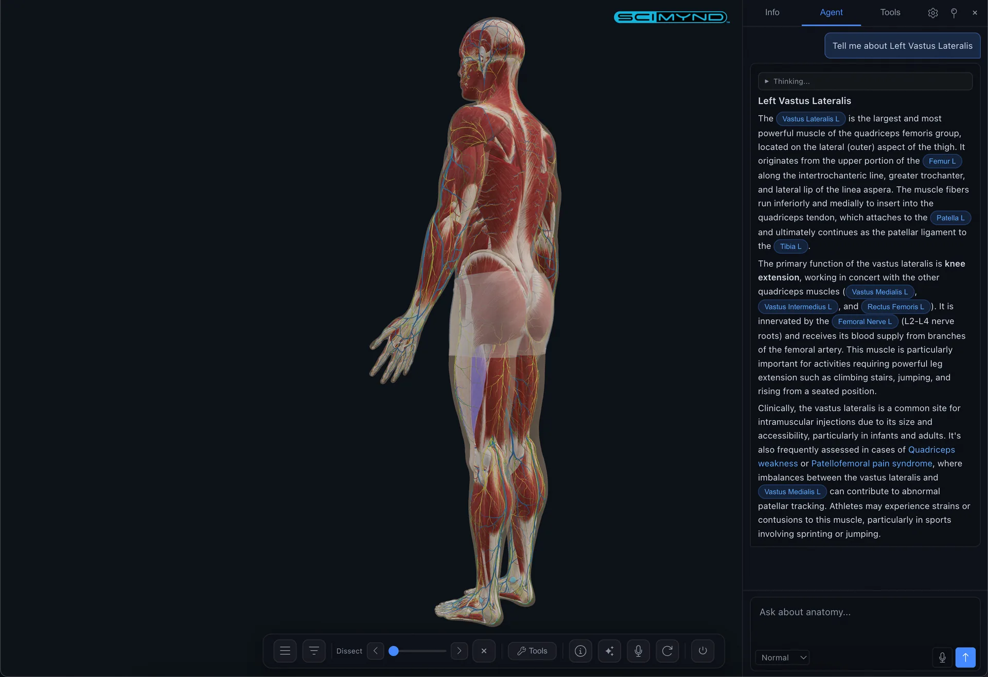 AI agent with anatomy context