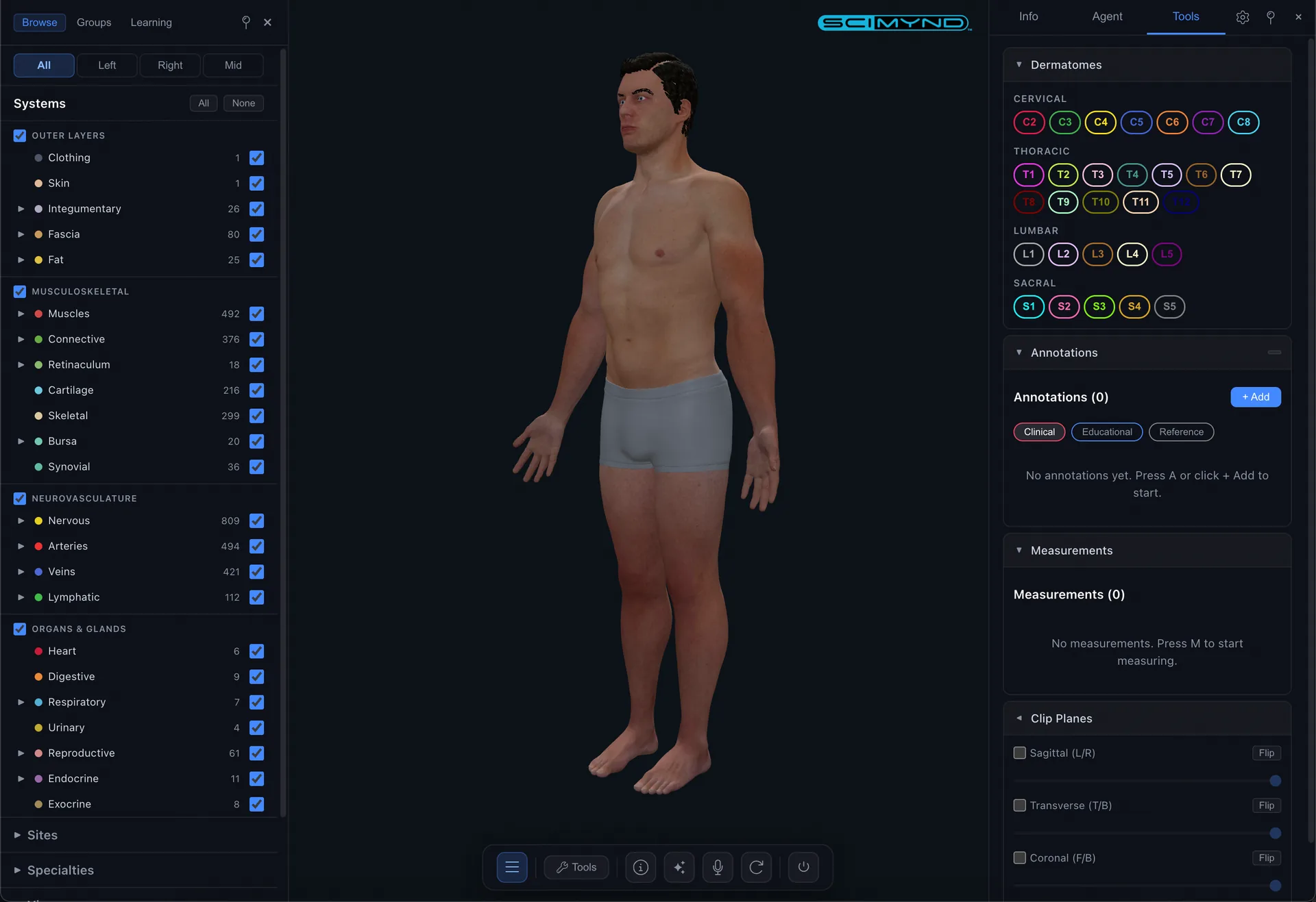 Full body with anatomical systems