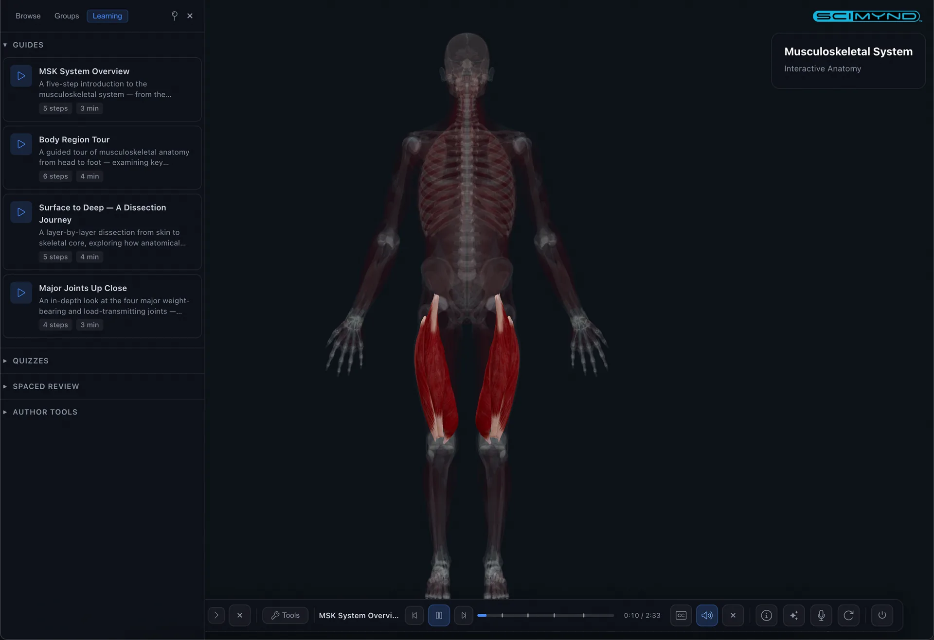 Guided anatomy tours