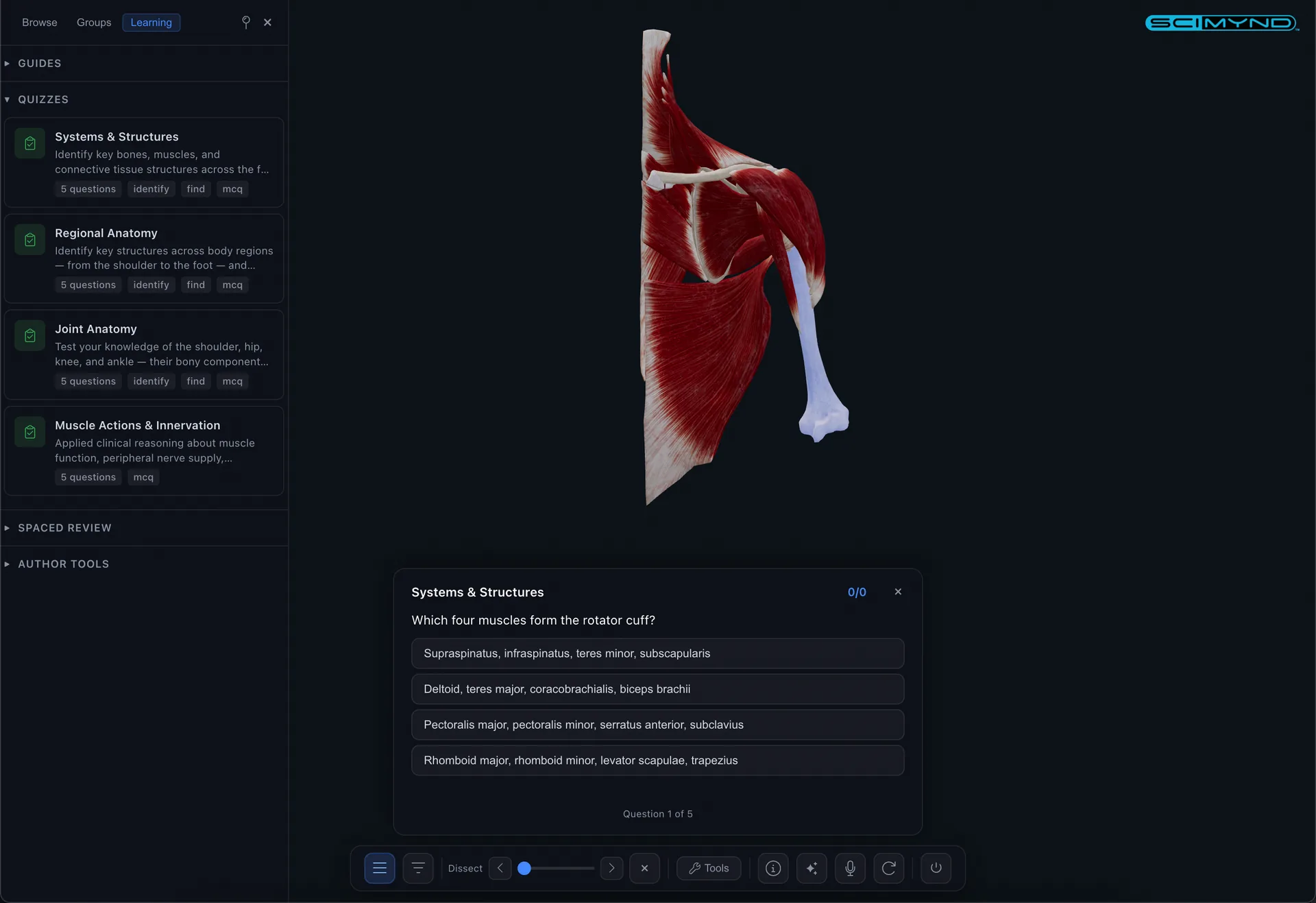 Interactive quizzes
