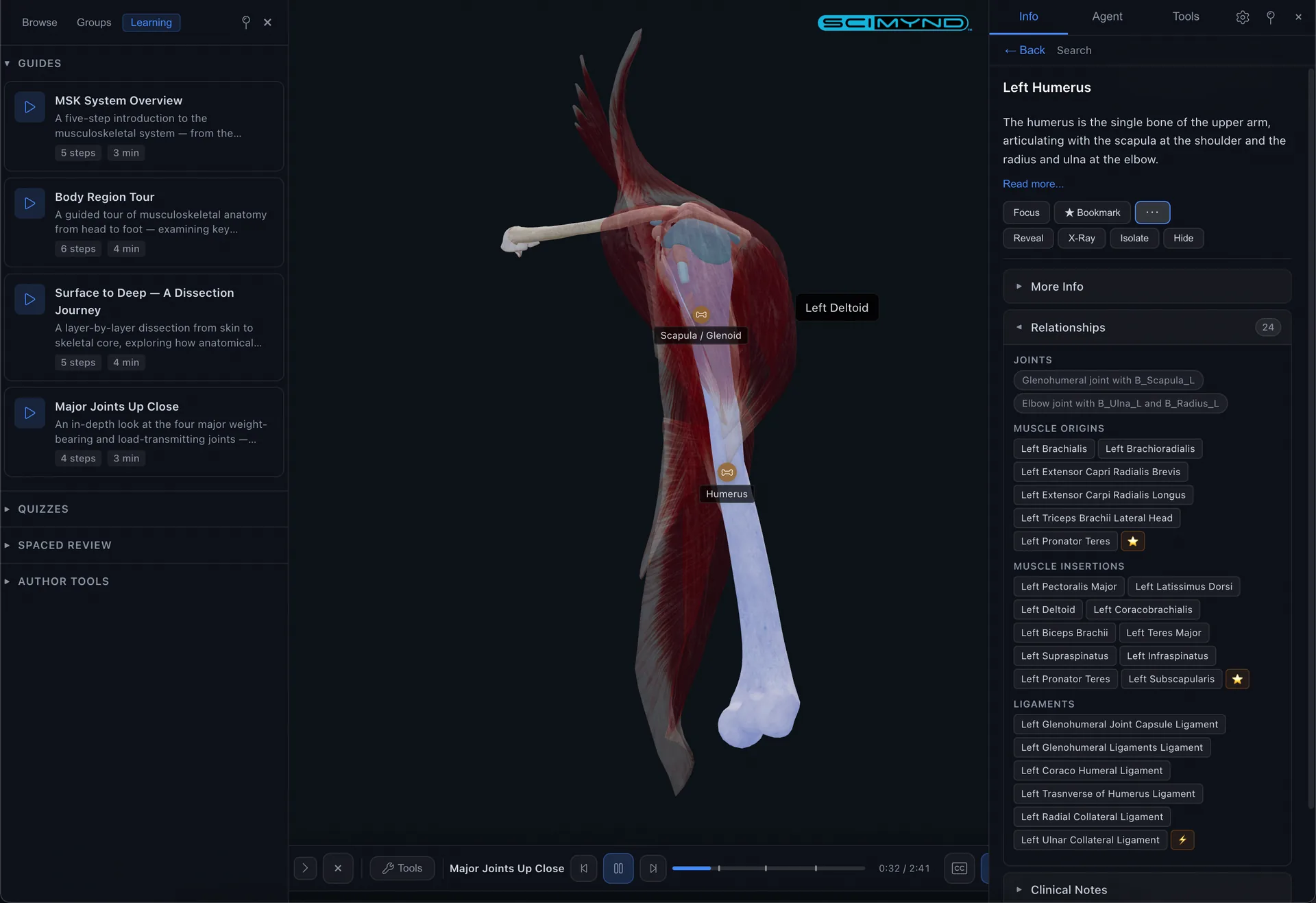 Structure info and relationships